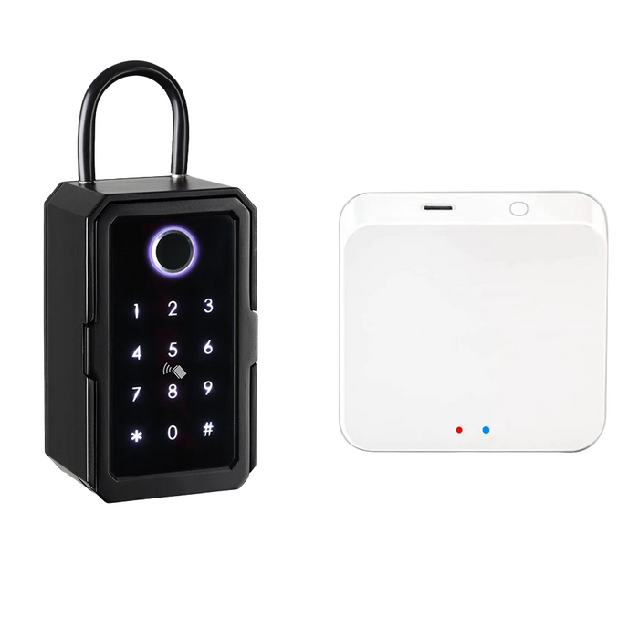 Outdoor Key Safe with App Control and Code Access