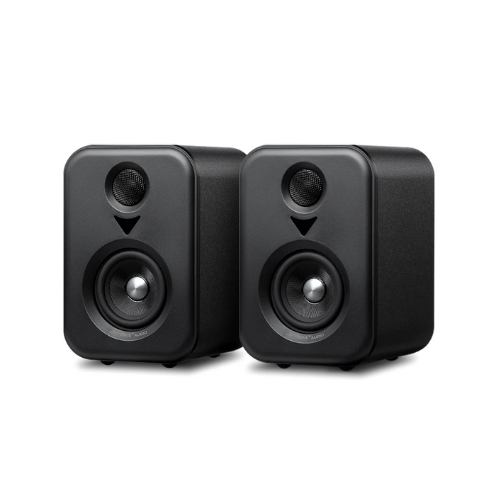 Portable Wooden Studio Monitor with Subwoofer Output