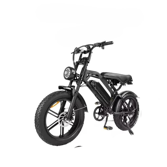 Electric Fat Tire Bike 500W 48V