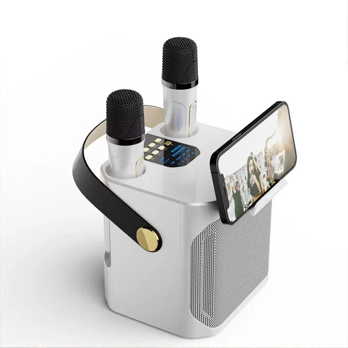 High Power Bluetooth Speaker with Subwoofer and Dual Microphones
