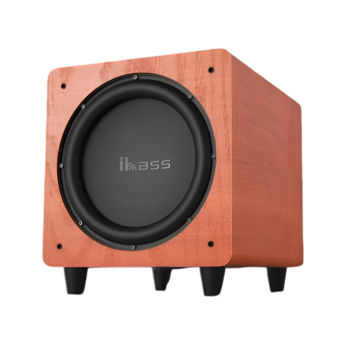 Portable 8-Inch 100W Subwoofer with Bluetooth, EQ & USB Input Maple