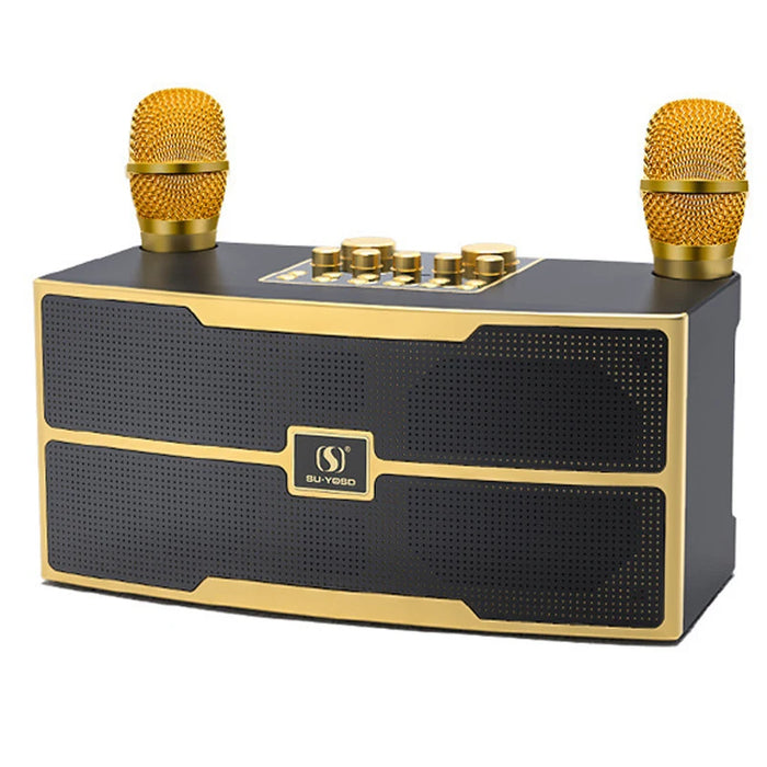 120W Wireless Bluetooth Speaker with Dual Microphones for Karaoke