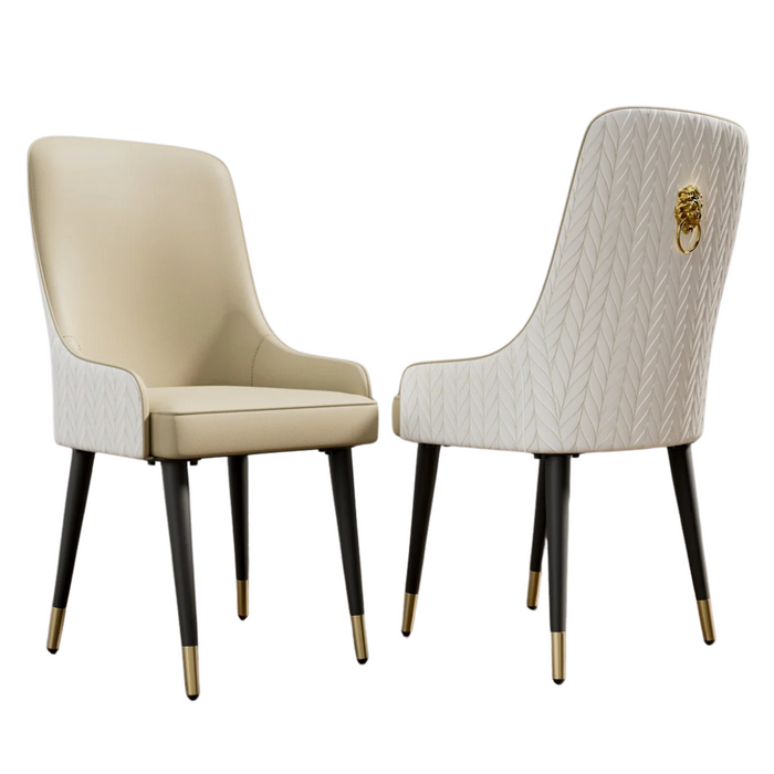 Upgrade-your-dining-area-with-this-elegant-set-of-2-Dining-Chairs