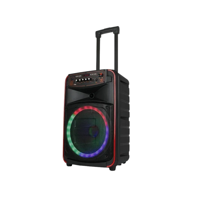 500W Trolley Speaker with 12" Bass and Mic Set