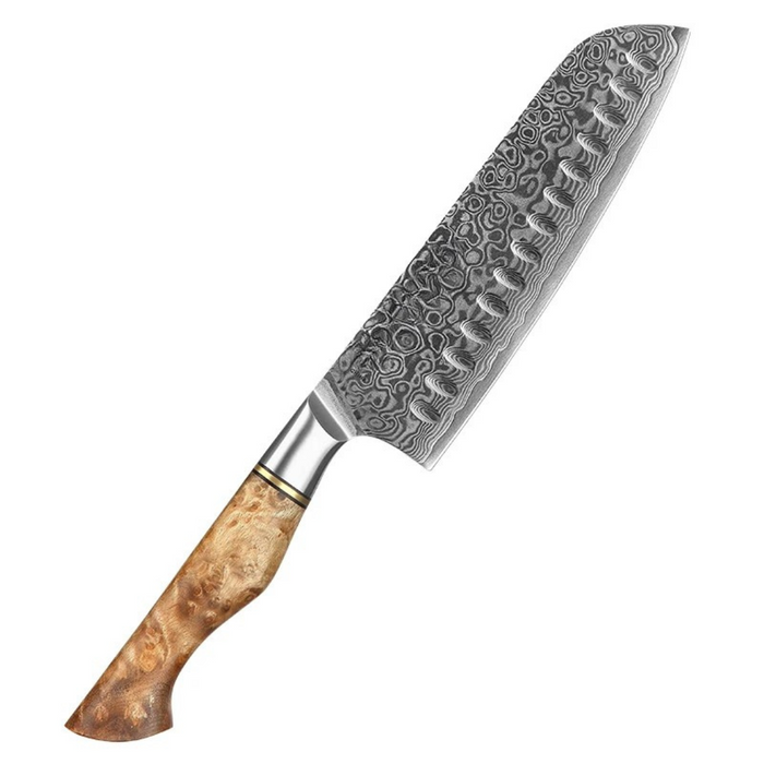 Santoku Professional Damascus Steel Knife
