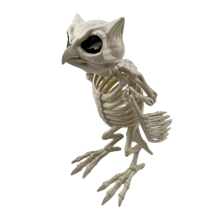 Adjustable Owl Animal Skeleton Halloween Decoration prop outdoors