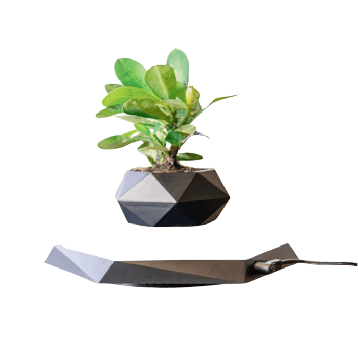 Levitating Bonsai Pot with Magnetic Suspension Technology Spinning in Black Finish