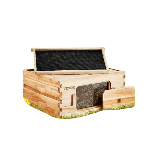 Bee Hive Deep Box Starter Kit - 100% Beeswax Coated Cedar Wood, Langstroth Design with Transparent Acrylic (1109SC -  10 Frames) - A complete beekeeping kit for beginners with high-quality materials