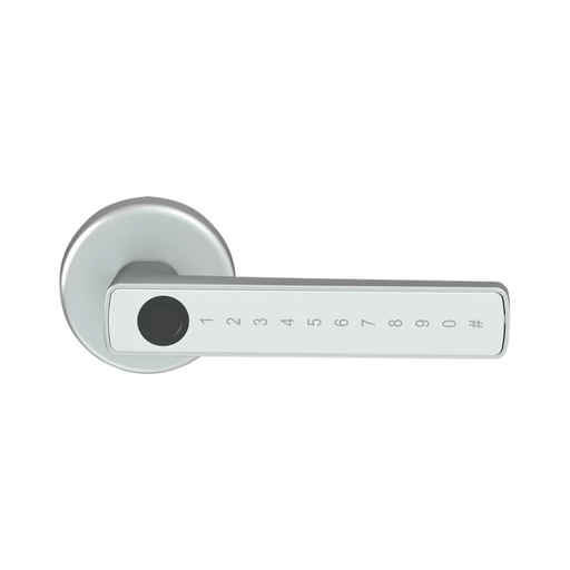 Fingerprint door lock with advanced biometric scanning and password entry