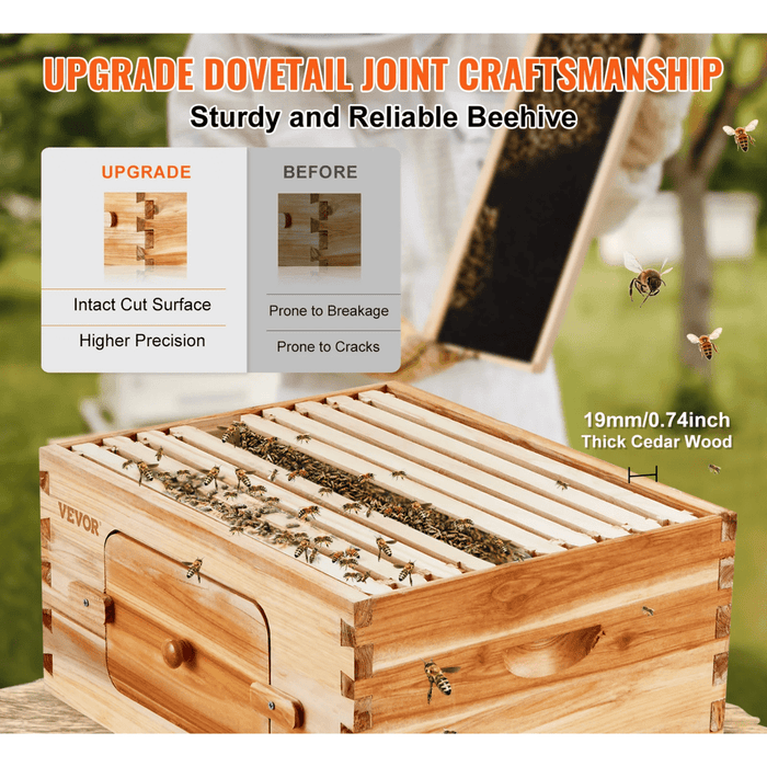 Bee Hive Deep Box Starter Kit - 100% Beeswax Coated Cedar Wood, Langstroth Design with Transparent Acrylic (2ZHGH - 30 Frames) - High-quality beekeeping equipment for beginners and experts alike