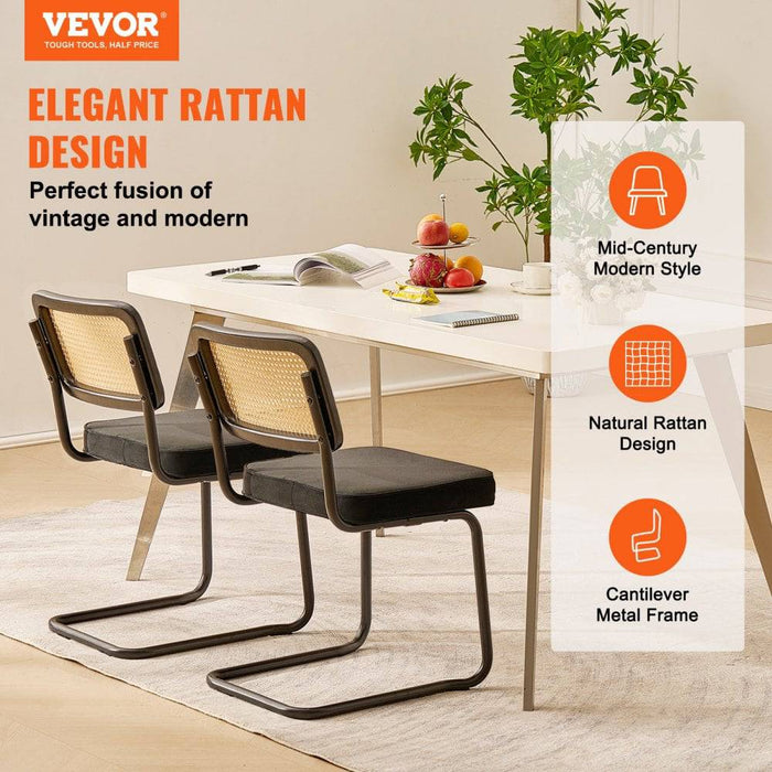 2 x Rattan Dining Chairs and 1 x Instruction Guide Package