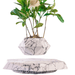 Levitating Off White Magnetic Floating Planter Rotational Bonsai Pot Product Image