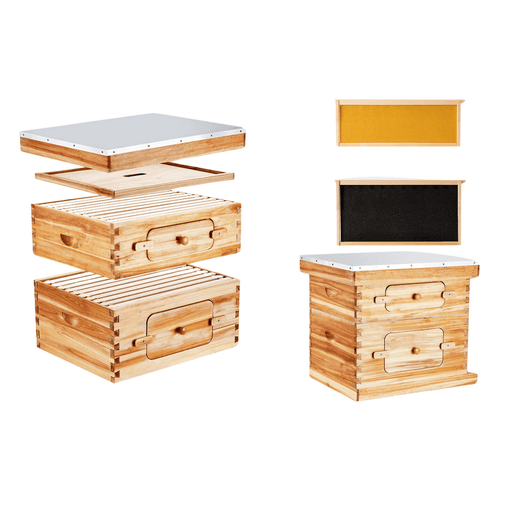 Bee Hive Deep Box Starter Kit with Transparent Acrylic Windows