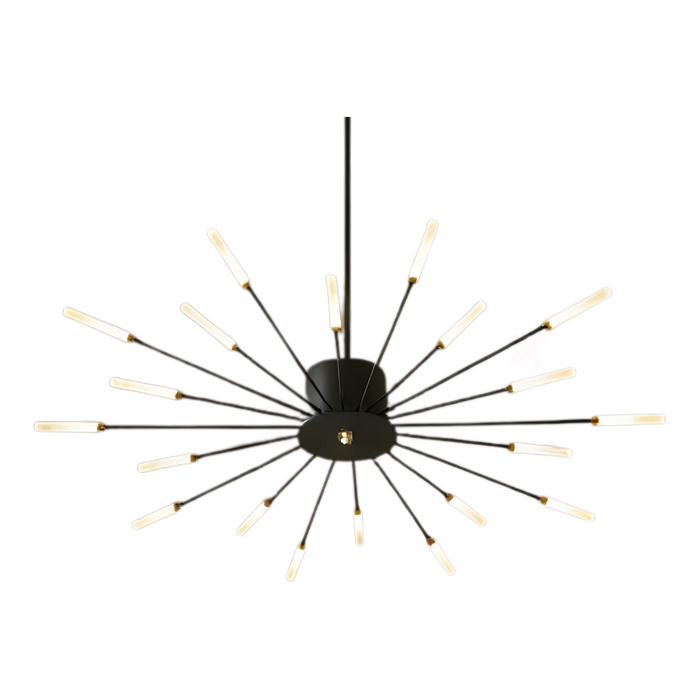 Nordic Style Black LED Ceiling Lamp