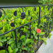 Black coated steel garden fence panels, 81x61 cm decorative metal folding border, 5-pack