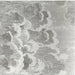 Dark Nordic style cloud wallpaper roll for living room and bedroom decor