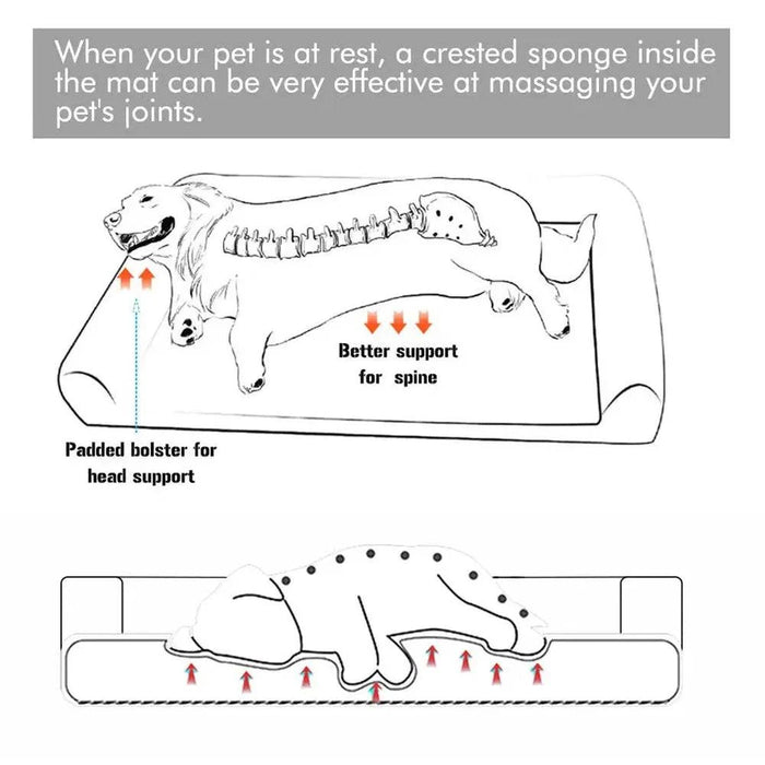 Large Dog Bed with Removable Cover “ Ultimate Comfort for Your Pet - FLUXA