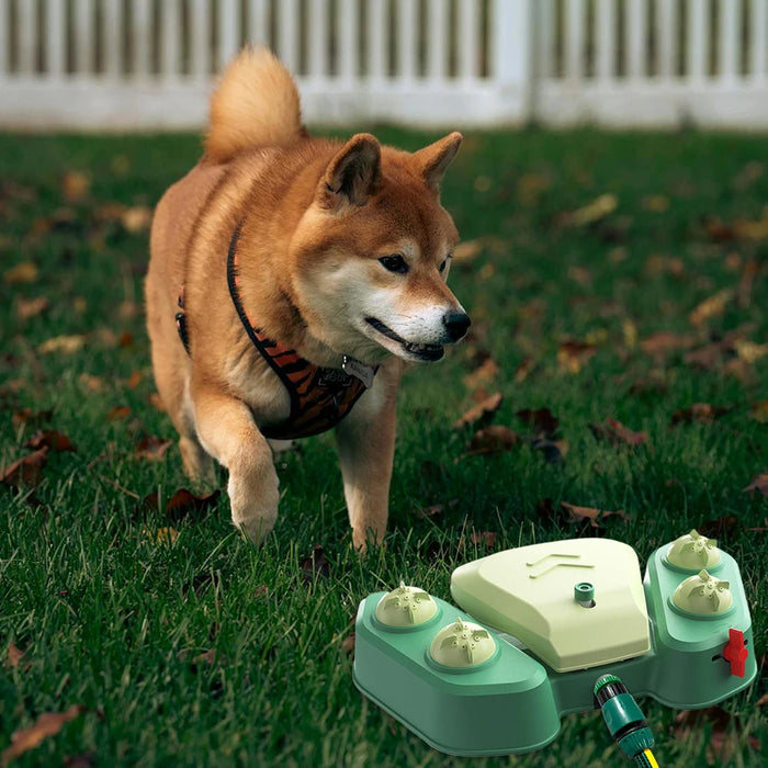 Interactive Dog Sprinkler Fountain, Summer Outdoor Toy