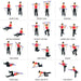 Elastic back trainer with adjustable tension for various fitness levels