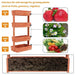 4-Tier Ladder Design providing ample space for diverse plant growth