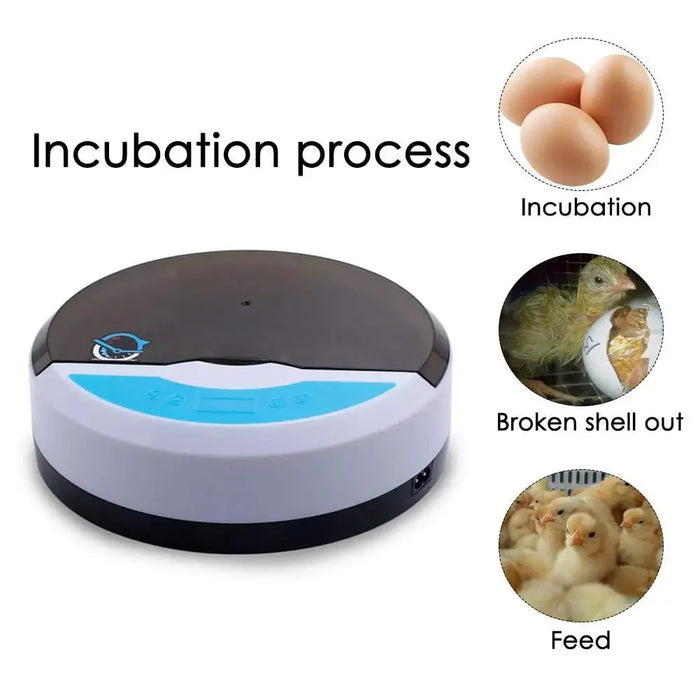 Small 9-Egg Hatching Machine for Poultry and Reptiles