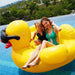 Durable and vibrant inflatable water toy for pool or beach fun