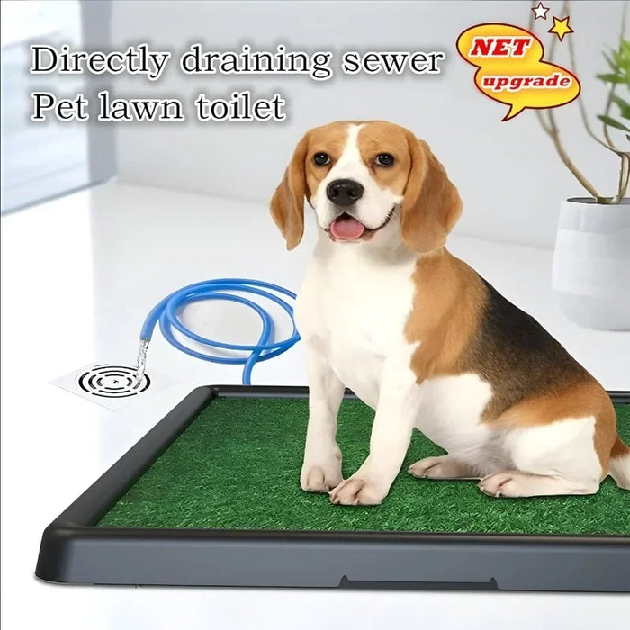 1 Dog Toilet – Indoor Grass Pad with Drainage Tray