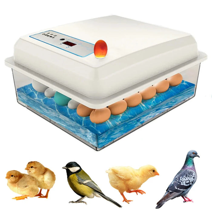 Smart Poultry Egg Incubator 20 Eggs with Biomimetic Heating