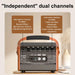 Acoustic Guitar Amplifier Bluetooth Speaker Rechargeable 15W Dual Channel (AG15A) in action, amplifying music wirelessly