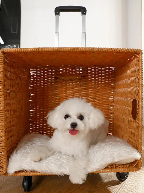 Portable Pet Trolley Luggage for Small Animals Wheeled Design with Comfort Mat