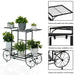 Water Drainage System for Healthy Plants