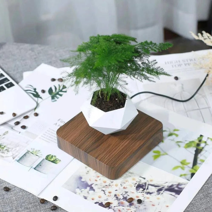 Levitating Off White Magnetic Floating Planter with Rotational Feature - Unique Home Decor Item