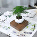 Levitating Off White Magnetic Floating Planter with Rotational Feature - Unique Home Decor Item