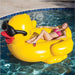 Suitable for adults and children to float comfortably