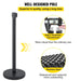 Stainless Steel and Iron construction, 08 mm pole thickness, 32 cm rubberized base