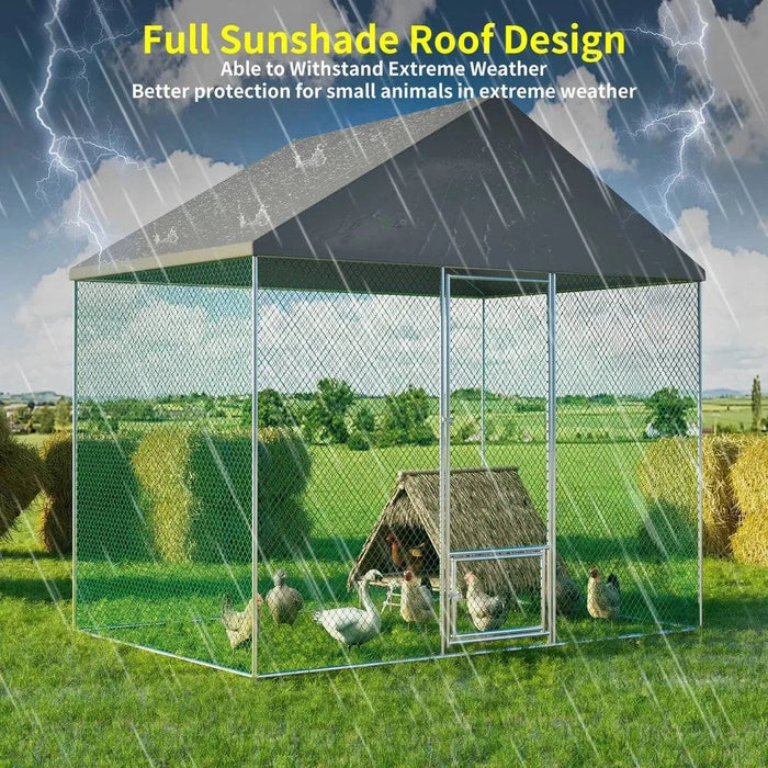 Spacious walk-in design for chickens to roam freely