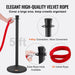 Two black stanchion posts with velvet ropes for crowd control