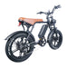 51 cm 750W 15AH Electric Fat Bike - FLUXA