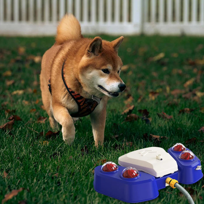 Dog Sprinkler Fountain, Adjustable Spray Outdoor Water Toy