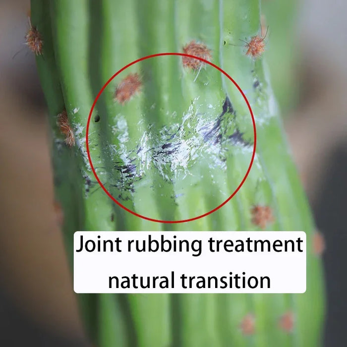 Decorative Cactus Plant Ornament