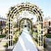 Durable-Metal-Iron-Wedding-Arch-Stand-with-Elegant-White-Finish