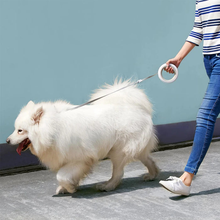 3M Leash Length Dog Leash with LED Light
