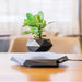 Modern Black Levitating Planter Floating and Rotating with Magnetic Technology