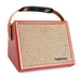 Black Acoustic Guitar Amplifier Bluetooth Speaker with Mic Input 40W