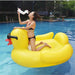 Perfect for swimming pools, lakes, and other water settings