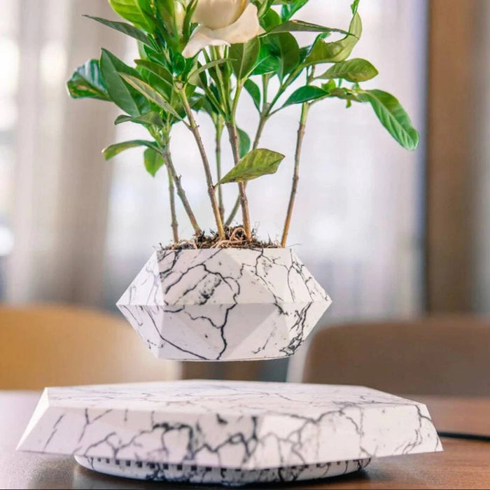 Levitating Off White Bonsai Pot with Magnetic Floating Planter and Rotational Feature