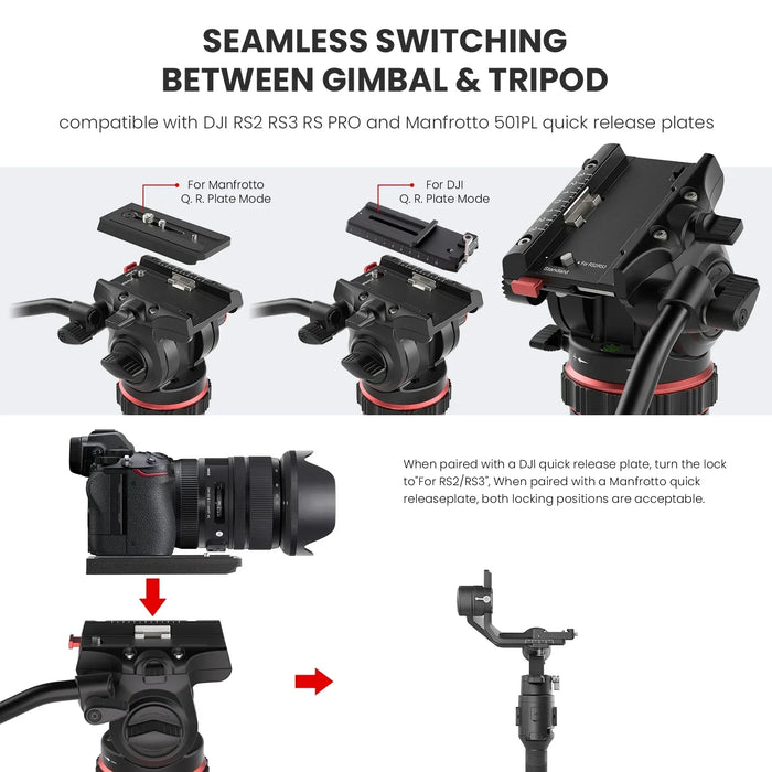 Sturdy 74" Tripod Stand for DSLR, Camcorder, and Phones