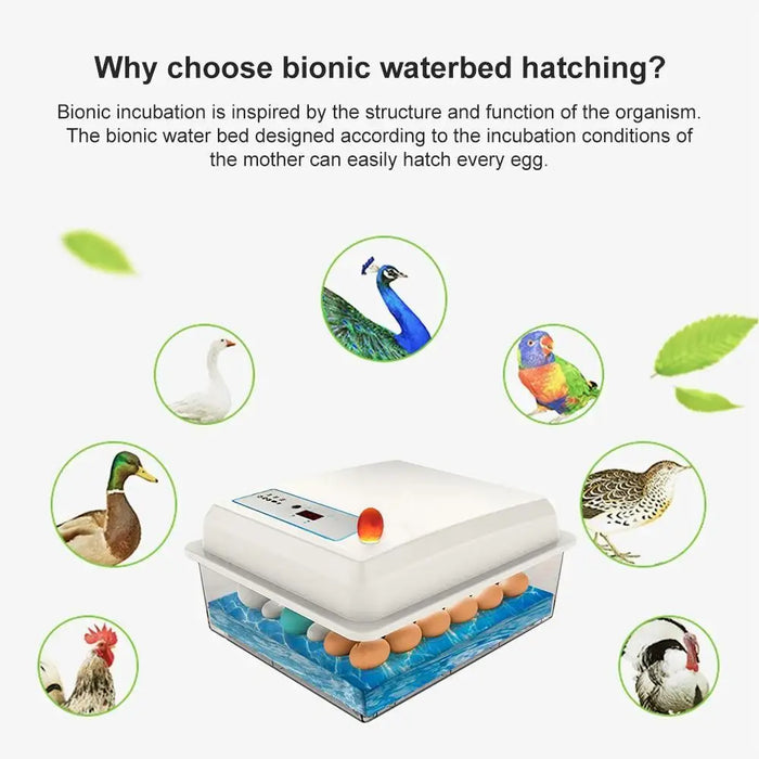 Smart Poultry Egg Incubator 50 Eggs with Biomimetic Heating
