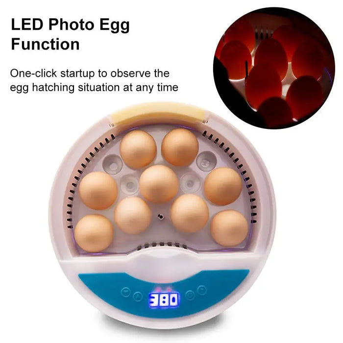 Small 9-Egg Hatching Machine for Poultry and Reptiles