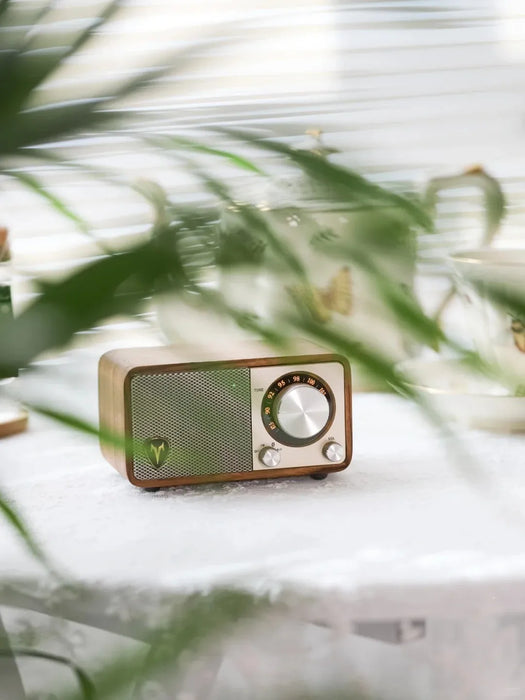 Portable Wooden Bluetooth Speaker with FM Radio and Stereo Subwoofer
